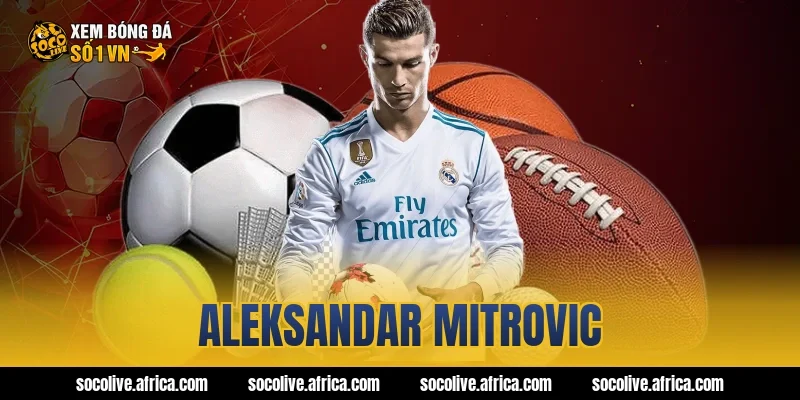 aleksandar mitrovic